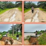 PT TPP, Kondisi Jalan Kabupaten di Desa Petalongan Sangat Memperhatikan Kalau Cuaca Bersahabat Segera Terjunkan Alat Berat 1778907502-picsay
