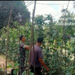 IMG-20260518-WA0029(1)