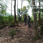 Babinsa Koramil 04/PP Serma JH Sipayung Beserta Rekan-rekan Babinsa Rutin Melaksanakan Patroli Karhutla di Wilayah Binaan Guna Cegah Kebakaran 1780890693-picsay