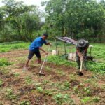 Wujud Kemanunggalan TNI-Rakyat, Babinsa Koramil 04/PP Bantu Warga Bersihkan Kebun Cabe di Desa Airmolek II 1781061832-picsay