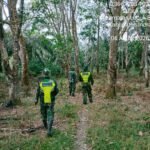 Babinsa Koramil 04/PP Serma JH Sipayung Beserta Rekan-rekan Babinsa Rutin Melaksanakan Patroli Karhutla di Wilayah Binaan Guna Cegah Kebakaran IMG-20260806-WA0012