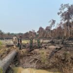 Tim Penyuluhan Mabes TNI Laksanakan Peninjauan Lokasi Pasca Kebakaran di Desa Sungai Lala SUNGAI LALA, 17 September 2026 – Tim Penyuluhan Mabes TNI yang dipimpin oleh Kolonel CHK Heri Krisdyanto melaksanakan peninjauan lokasi pasca kebakaran hutan dan lahan di Desa Talang Sungai Parit, Kecamatan Rakit Kulim, Kabupaten Indragiri Hulu, pada hari Kamis (17/09/2026) pukul 10.00 WIB, dalam rangka pencegahan dan penanggulangan Karhutla di wilayah Provinsi Riau. Kegiatan ini diikuti oleh 12 peserta, yang terdiri dari 10 personel TNI, 1 personel Polri, dan 1 orang ASN. Peninjauan dilaksanakan untuk memantau kondisi lokasi yang terdampak kebakaran, mengevaluasi penanganan yang telah dilakukan, serta merumuskan langkah pemulihan dan upaya pencegahan agar kebakaran tidak terulang kembali di lokasi yang sama. Selanjutnya, pada hari Jumat (18/09/2026), tim direncanakan akan melaksanakan audiensi di Kantor Camat Kelayang guna memperkuat sinergitas pencegahan Karhutla di wilayah Kecamatan Kelayang. IMG-20260917-WA0004