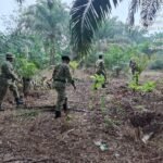 Babinsa Koramil 04/PP Serma Surya HW Beserta Rekan-rekan Babinsa Rutin Melaksanakan Patroli Karhutla di Wilayah Binaan Guna Cegah Kebakaran IMG-20261028-WA0024